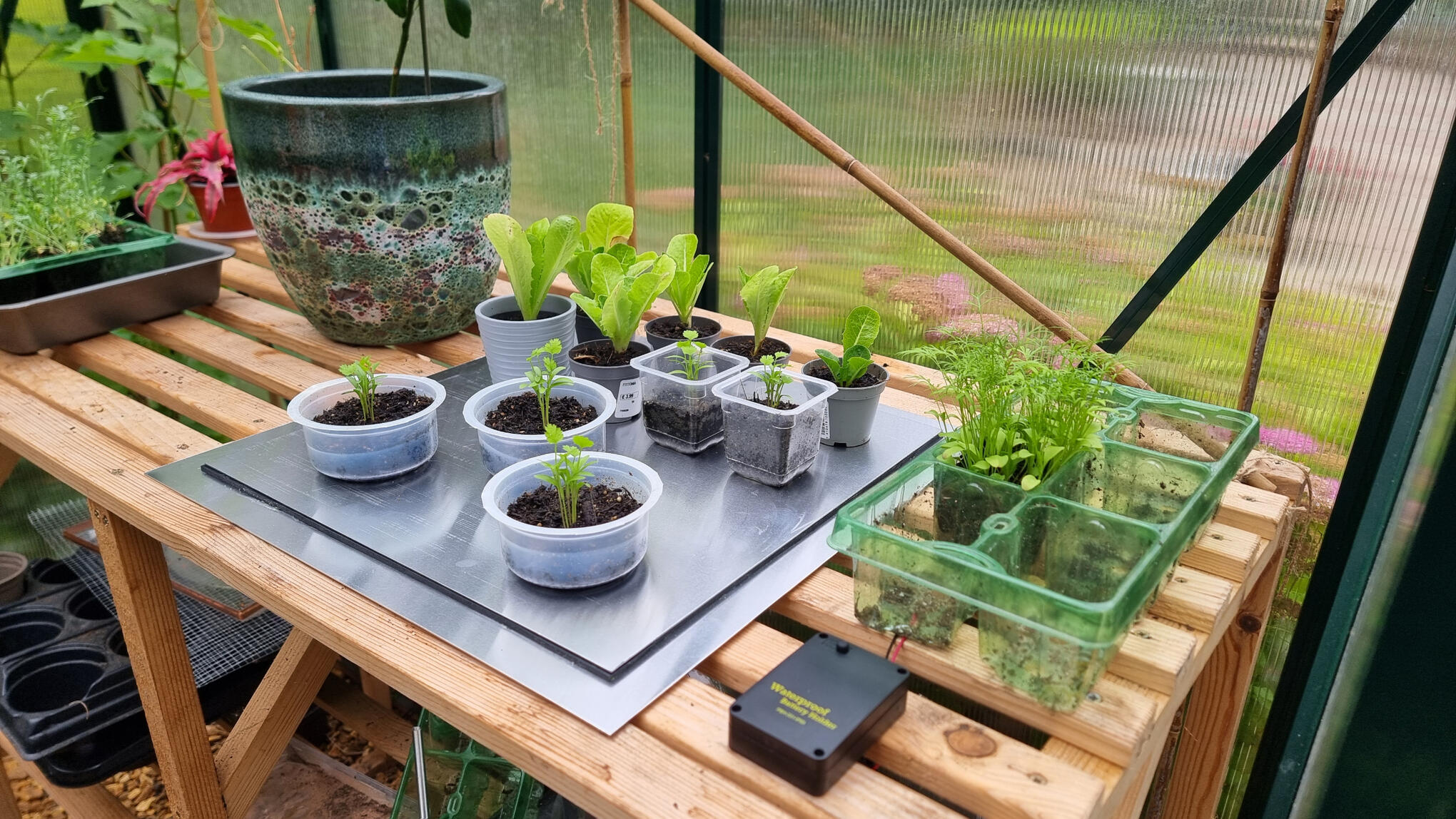 Slug Guard Greenhouse